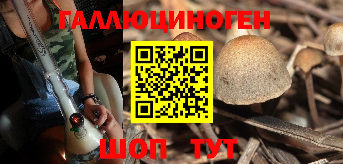 Псилоцибиновые грибы GOLDEN TEACHER Тара