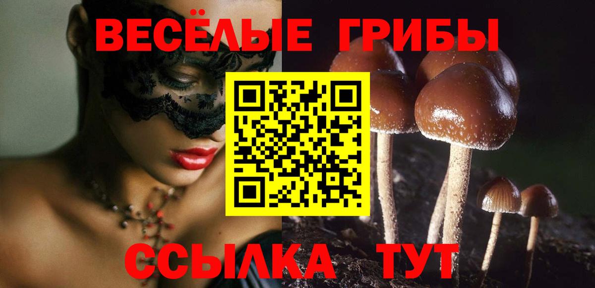 Псилоцибиновые грибы мухоморы  Вход с VPN  Тара 